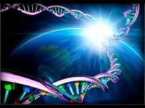 Attivazione del DNA
